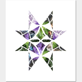 Purple geometric succulent Posters and Art